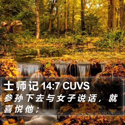士 师 记 14:7 CUVS Bible Verse Image