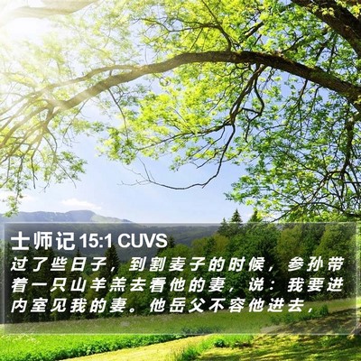 士 师 记 15:1 CUVS Bible Verse Image