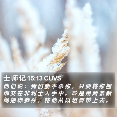 士 师 记 15:13 CUVS Bible Verse Image