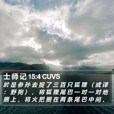 士 师 记 15:4 CUVS Bible Verse Image