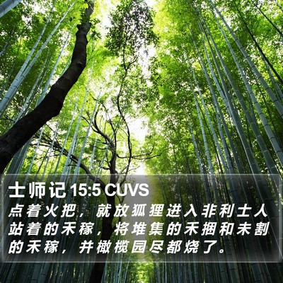 士 师 记 15:5 CUVS Bible Verse Image