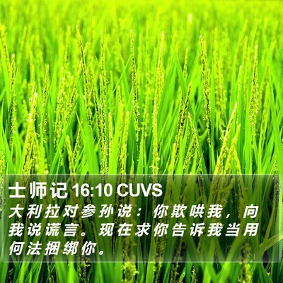 士 师 记 16:10 CUVS Bible Verse Image