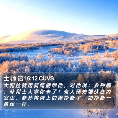 士 师 记 16:12 CUVS Bible Verse Image