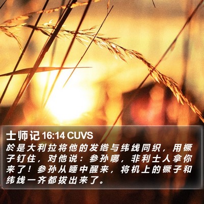 士 师 记 16:14 CUVS Bible Verse Image