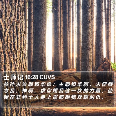 士 师 记 16:28 CUVS Bible Verse Image