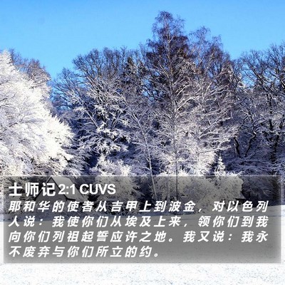 士 师 记 2:1 CUVS Bible Verse Image