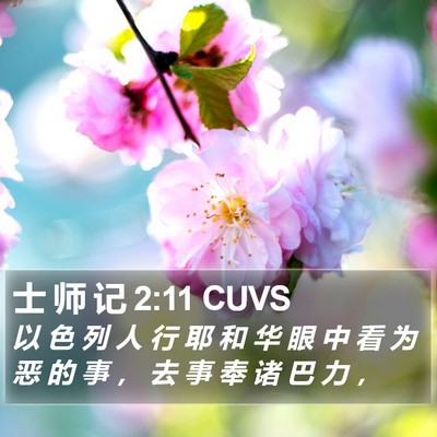 士 师 记 2:11 CUVS Bible Verse Image