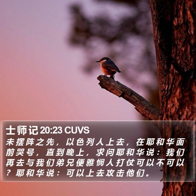 士 师 记 20:23 CUVS Bible Verse Image