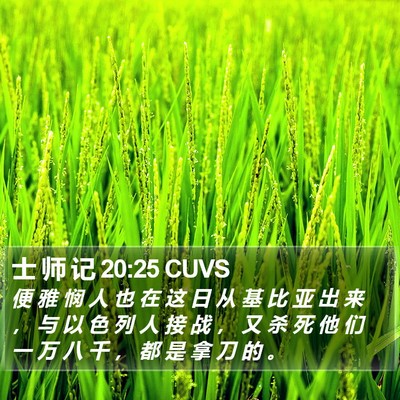 士 师 记 20:25 CUVS Bible Verse Image