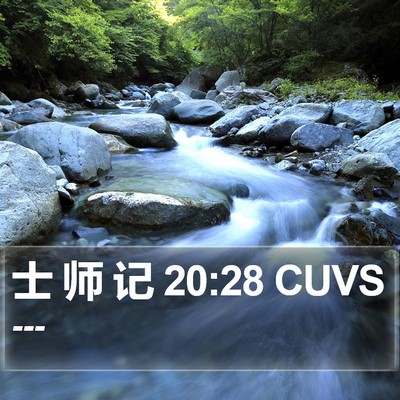 士 师 记 20:28 CUVS Bible Verse Image