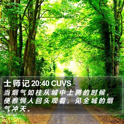 士 师 记 20:40 CUVS Bible Verse Image