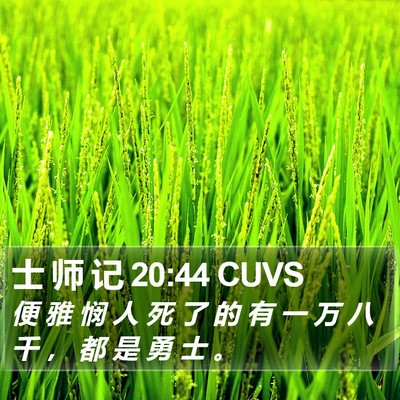 士 师 记 20:44 CUVS Bible Verse Image