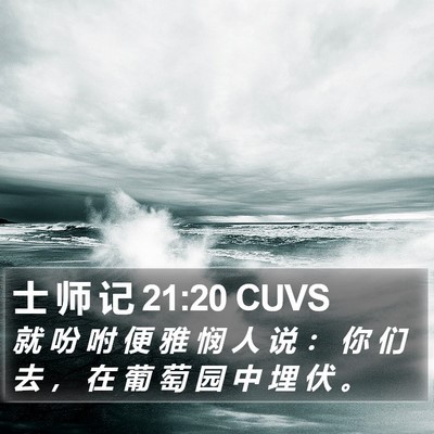 士 师 记 21:20 CUVS Bible Verse Image