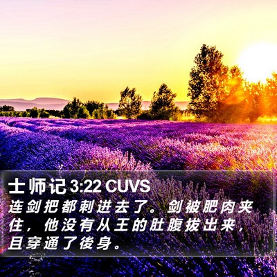 士 师 记 3:22 CUVS Bible Verse Image