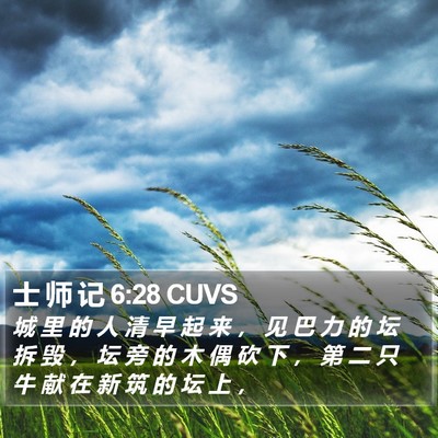 士 师 记 6:28 CUVS Bible Verse Image
