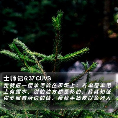 士 师 记 6:37 CUVS Bible Verse Image