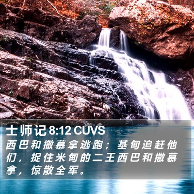 士 师 记 8:12 CUVS Bible Verse Image