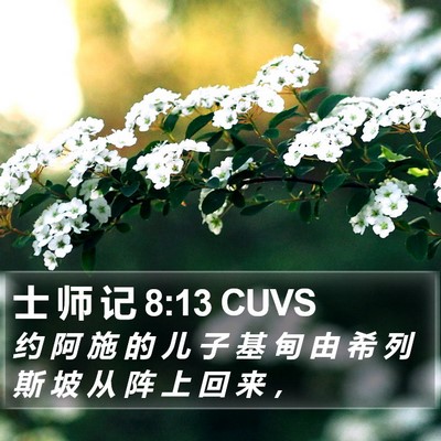 士 师 记 8:13 CUVS Bible Verse Image