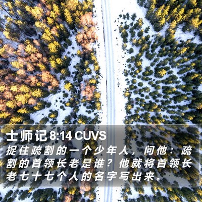 士 师 记 8:14 CUVS Bible Verse Image