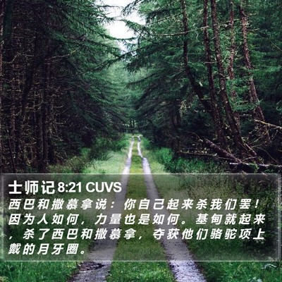 士 师 记 8:21 CUVS Bible Verse Image