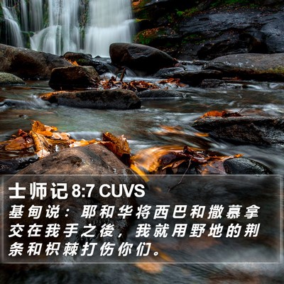 士 师 记 8:7 CUVS Bible Verse Image