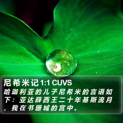 尼 希 米 记 1:1 CUVS Bible Verse Image