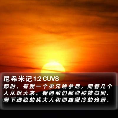 尼 希 米 记 1:2 CUVS Bible Verse Image