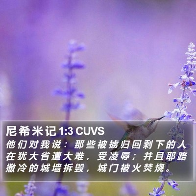 尼 希 米 记 1:3 CUVS Bible Verse Image