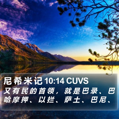 尼 希 米 记 10:14 CUVS Bible Verse Image