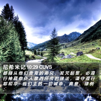尼 希 米 记 10:29 CUVS Bible Verse Image