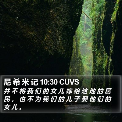 尼 希 米 记 10:30 CUVS Bible Verse Image