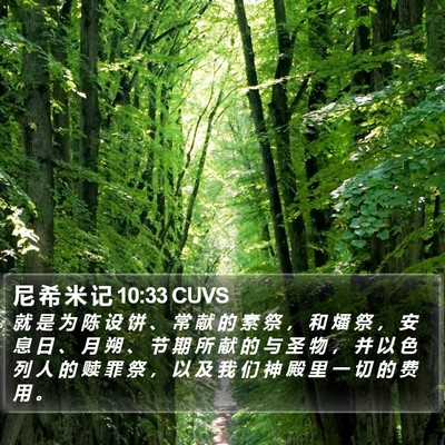 尼 希 米 记 10:33 CUVS Bible Verse Image