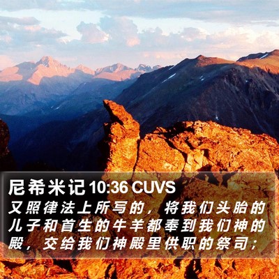 尼 希 米 记 10:36 CUVS Bible Verse Image