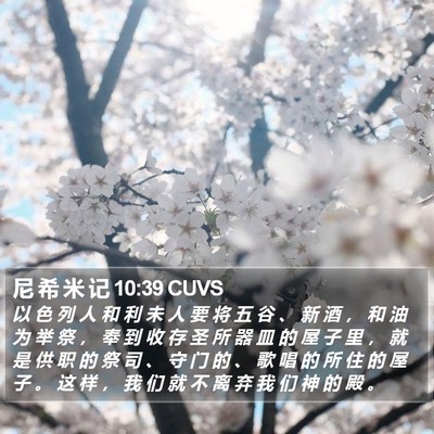 尼 希 米 记 10:39 CUVS Bible Verse Image