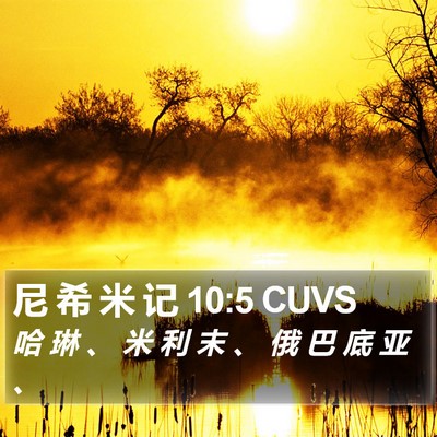 尼 希 米 记 10:5 CUVS Bible Verse Image
