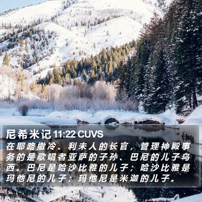 尼 希 米 记 11:22 CUVS Bible Verse Image