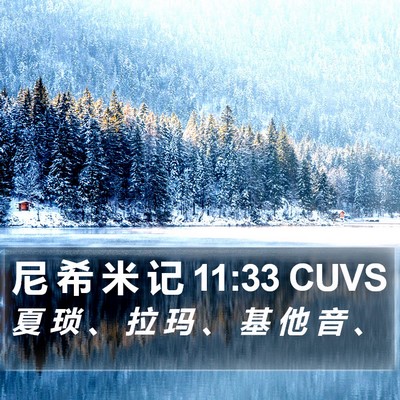 尼 希 米 记 11:33 CUVS Bible Verse Image