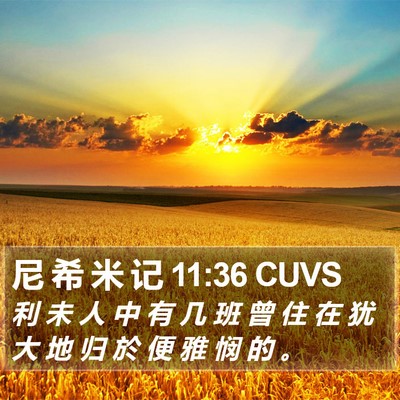 尼 希 米 记 11:36 CUVS Bible Verse Image