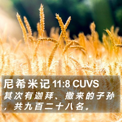 尼 希 米 记 11:8 CUVS Bible Verse Image