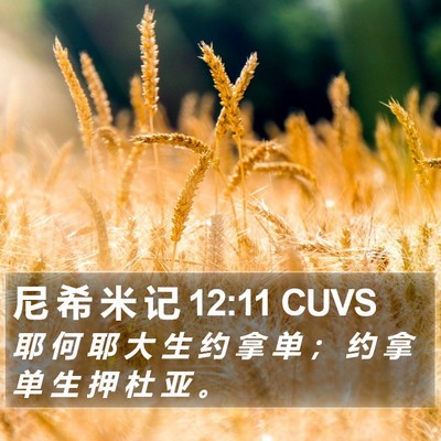 尼 希 米 记 12:11 CUVS Bible Verse Image