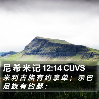 尼 希 米 记 12:14 CUVS Bible Verse Image