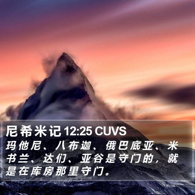 尼 希 米 记 12:25 CUVS Bible Verse Image