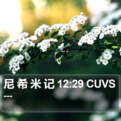 尼 希 米 记 12:29 CUVS Bible Verse Image
