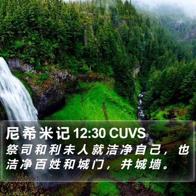 尼 希 米 记 12:30 CUVS Bible Verse Image