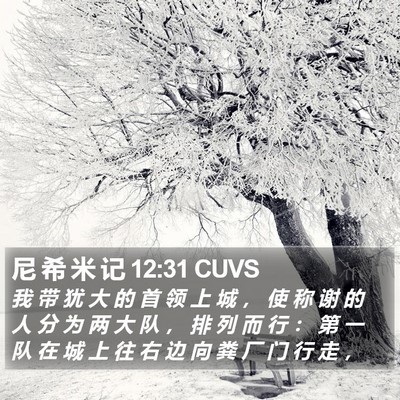 尼 希 米 记 12:31 CUVS Bible Verse Image