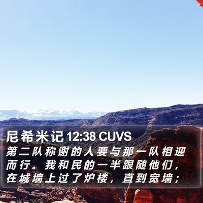 尼 希 米 记 12:38 CUVS Bible Verse Image
