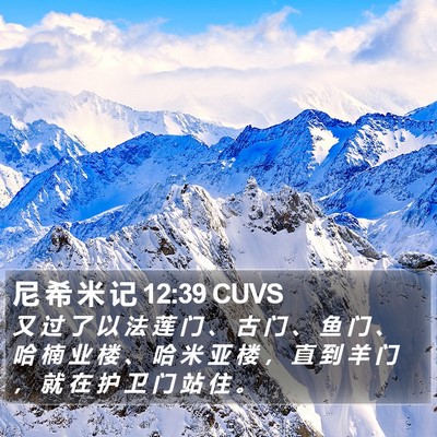 尼 希 米 记 12:39 CUVS Bible Verse Image