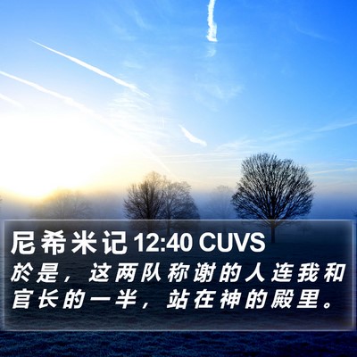 尼 希 米 记 12:40 CUVS Bible Verse Image
