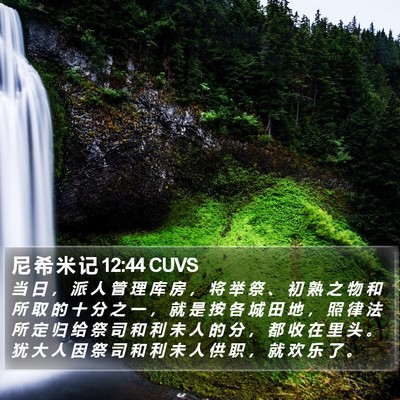 尼 希 米 记 12:44 CUVS Bible Verse Image