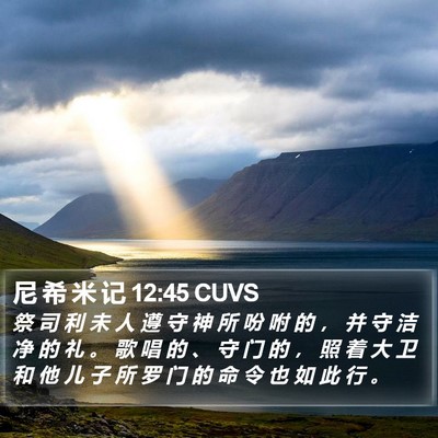 尼 希 米 记 12:45 CUVS Bible Verse Image